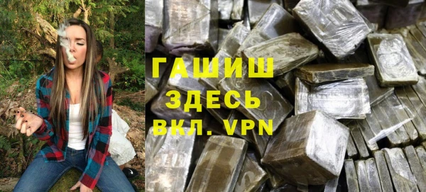 индика Алексин