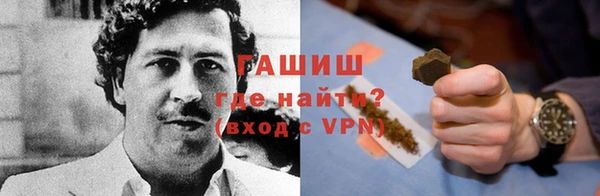 прущие грибы Алзамай