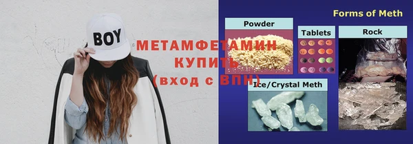 индика Алексин