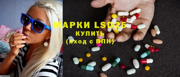 прущие грибы Алзамай