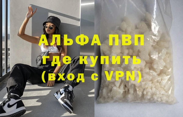 индика Алексин