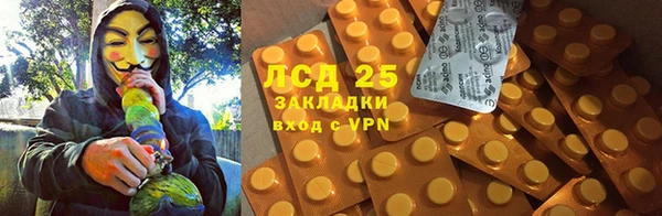 прущие грибы Алзамай