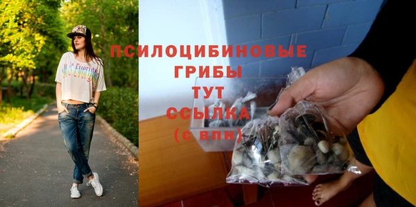 прущие грибы Алзамай