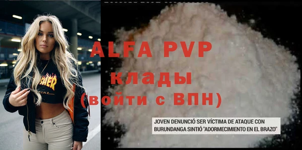 индика Алексин
